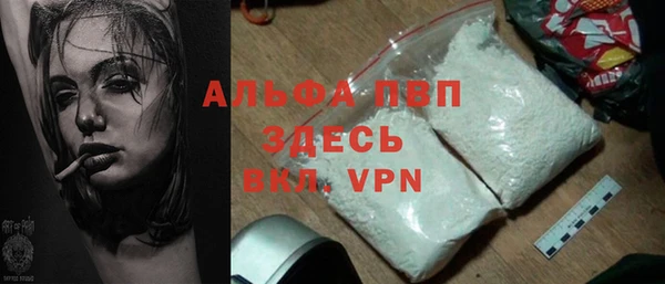 сатива Богданович