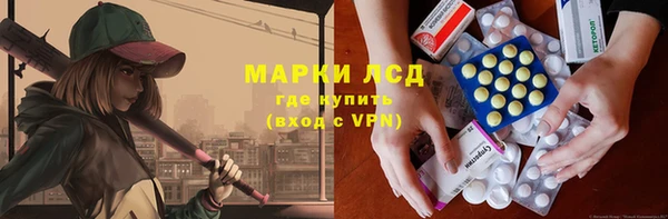 сатива Богданович