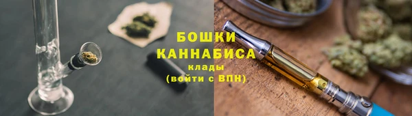 сатива Богданович
