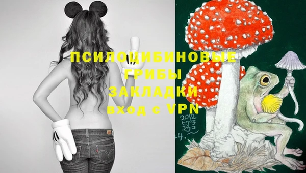прущая мука Бородино