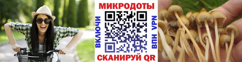закладка  Воскресенск  Галлюциногенные грибы мицелий 